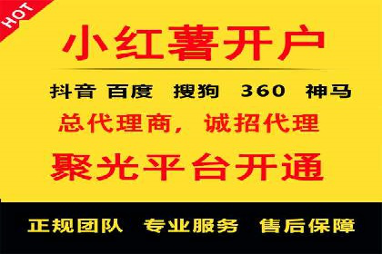 SEM托管公司案例分析：实战技巧全解析